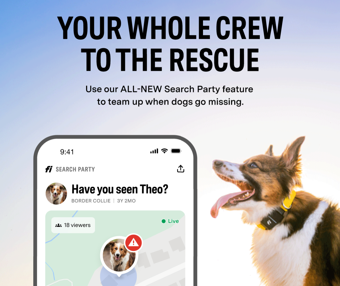 NEW FEATURE: Search Party