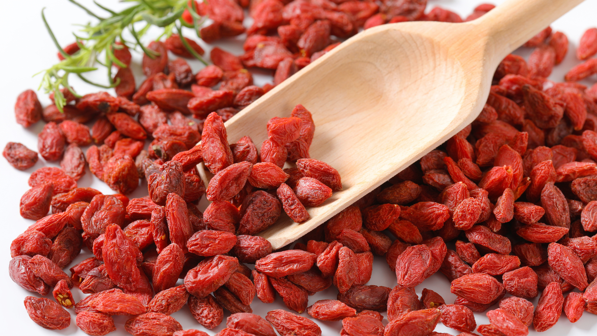 Can Dogs Eat Goji Berries