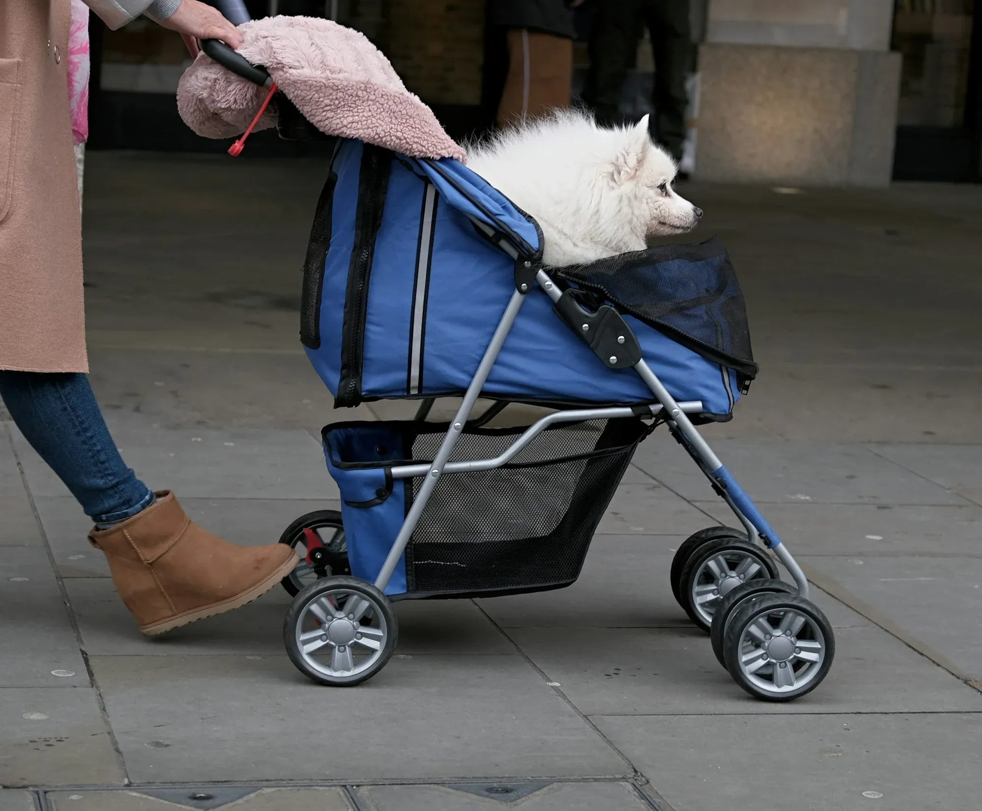 Benefits of a Dog Stroller