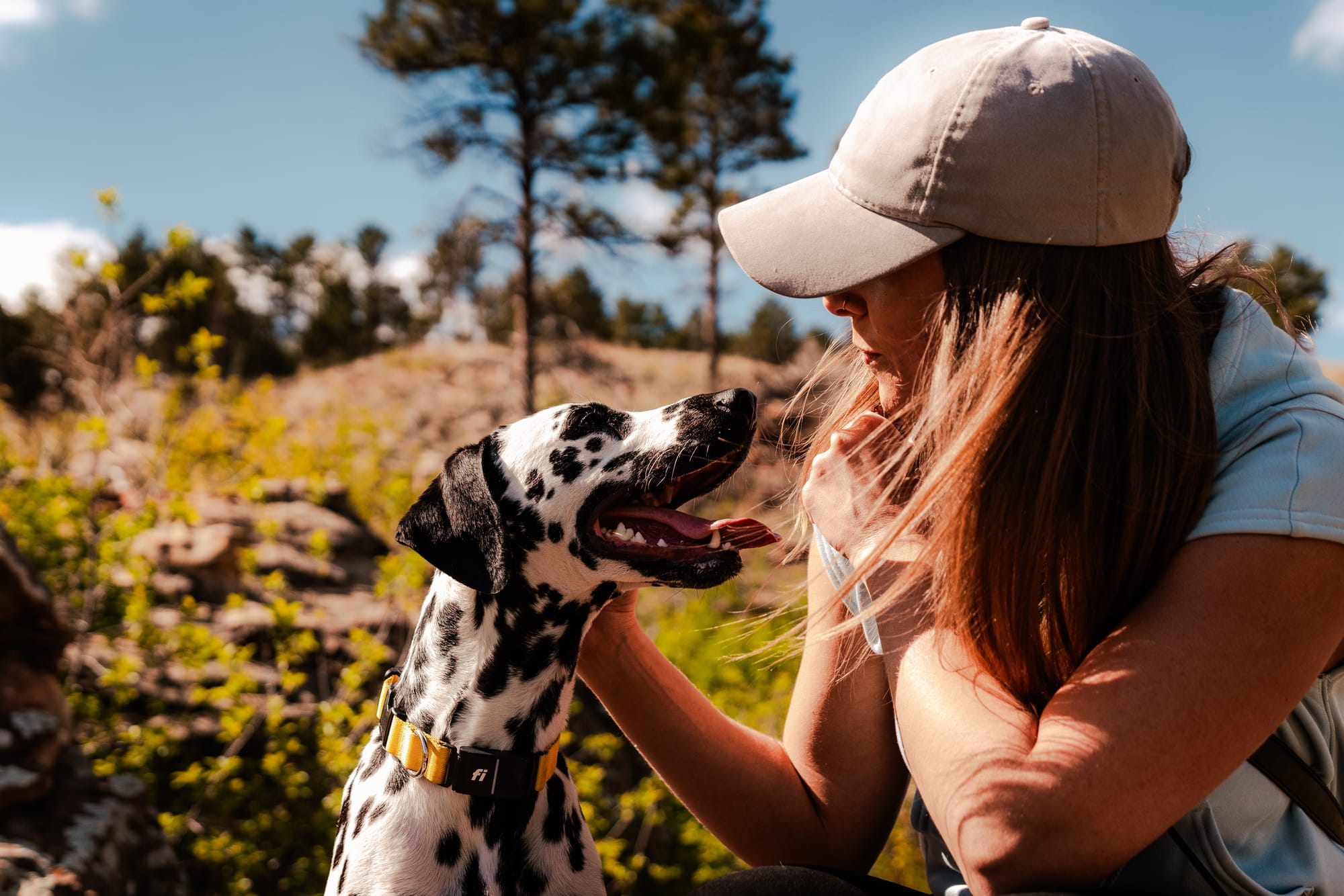 Reduce Travel Anxiety: Ensure Your Dog’s Safety While They Are With Sitter