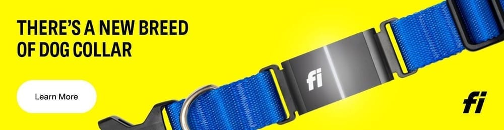 Fi dog collar