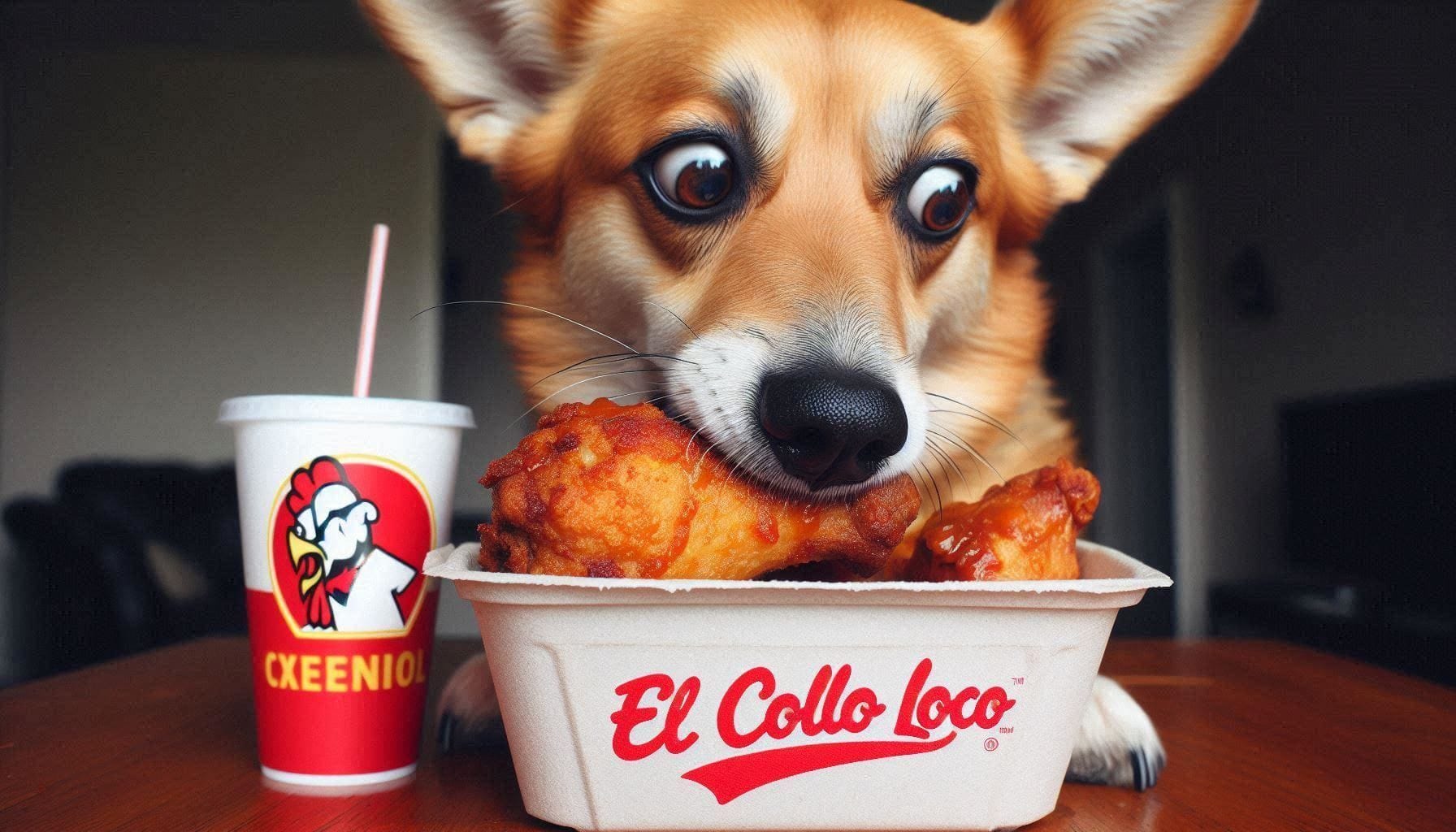 Can Dogs Eat El Pollo Loco Chicken?