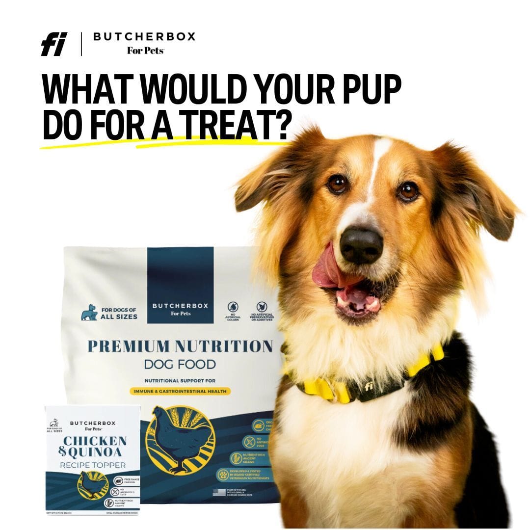 Fi x ButcherBox for Pets Giveaway