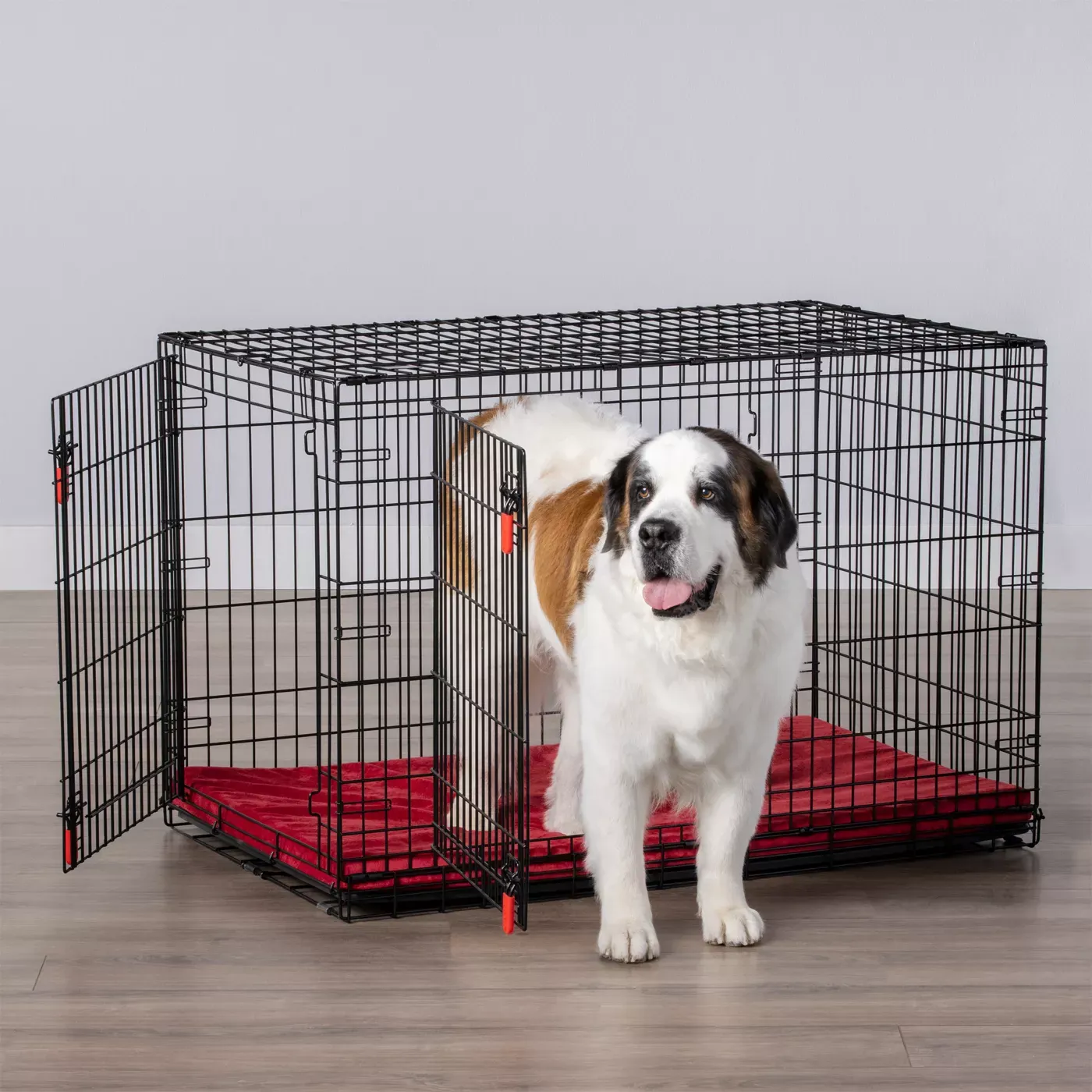 how to crate train an older dog