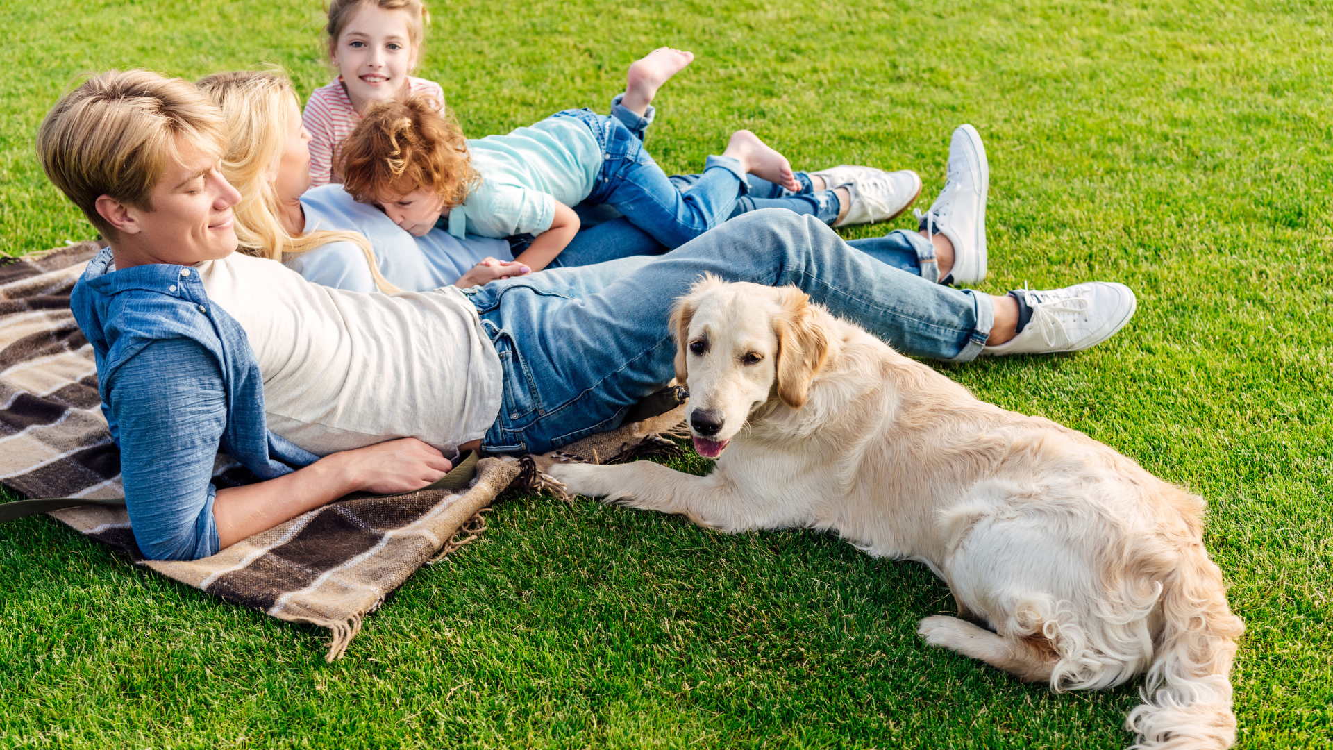 Golden Retriever with family