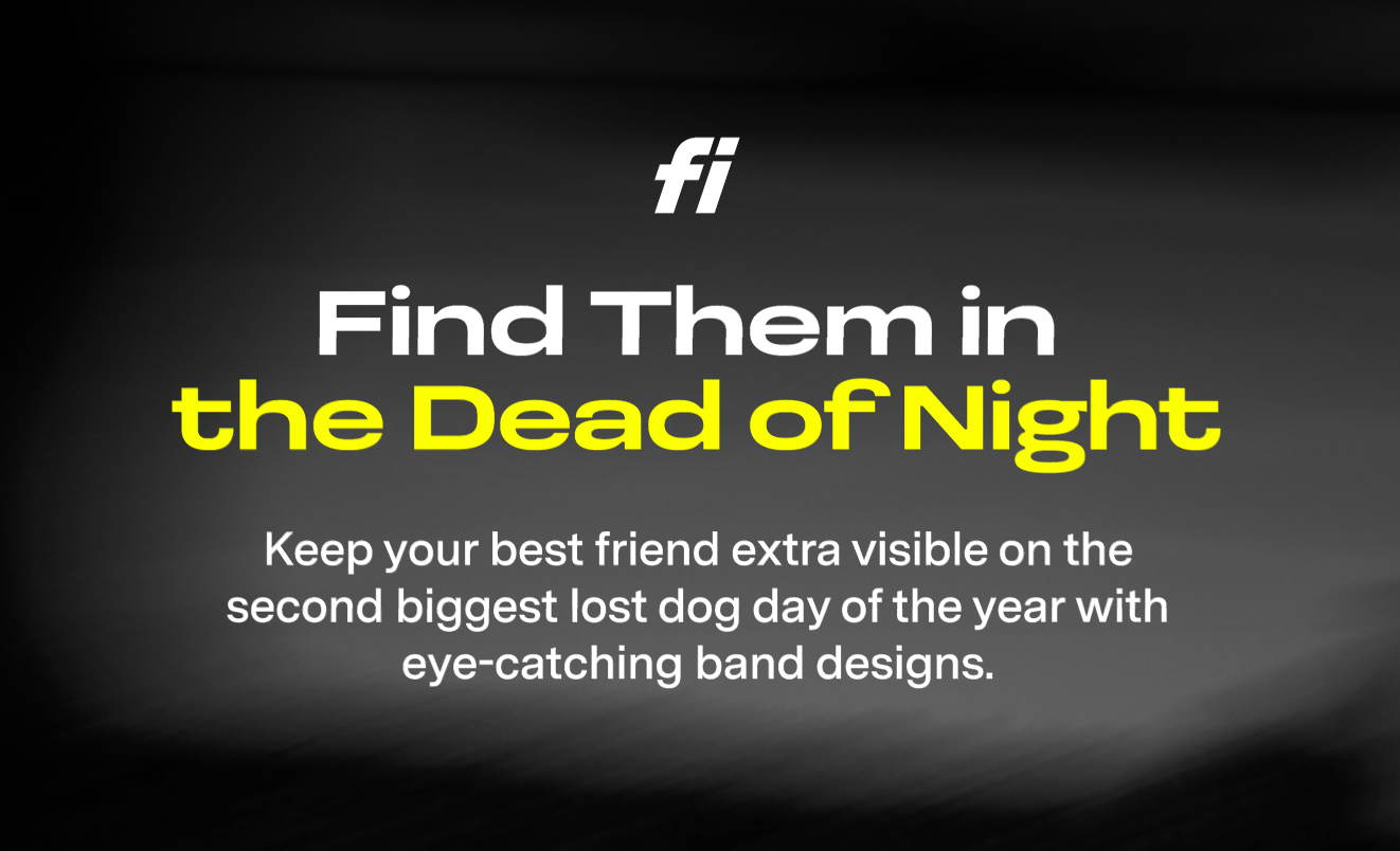 Find Them in the Dead of Night: Fi-Compatible Collars Perfect for Spooky Season 🎃