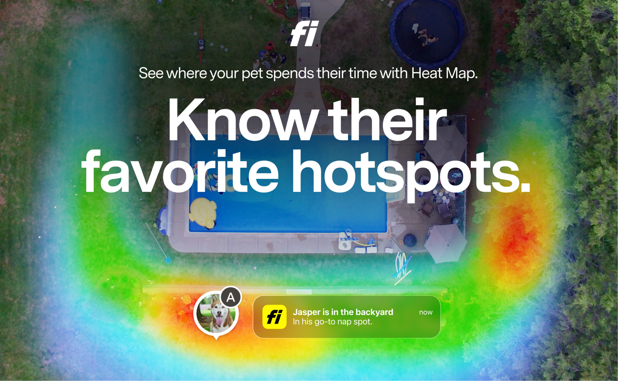 Your Pet's Secret Life, Mapped