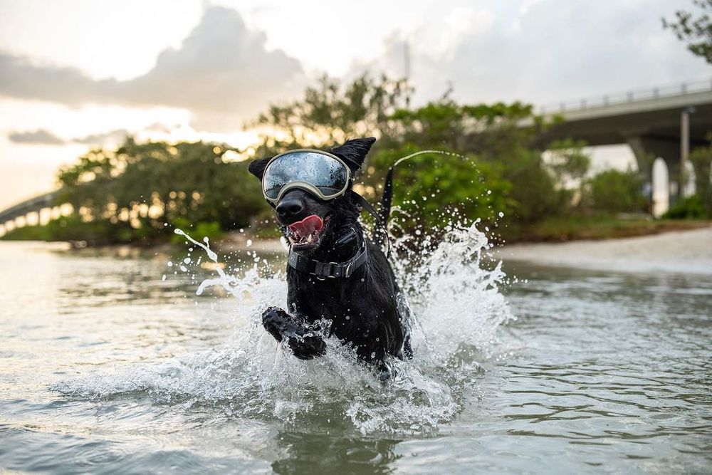 What the Fi Team is Buying on Black Friday