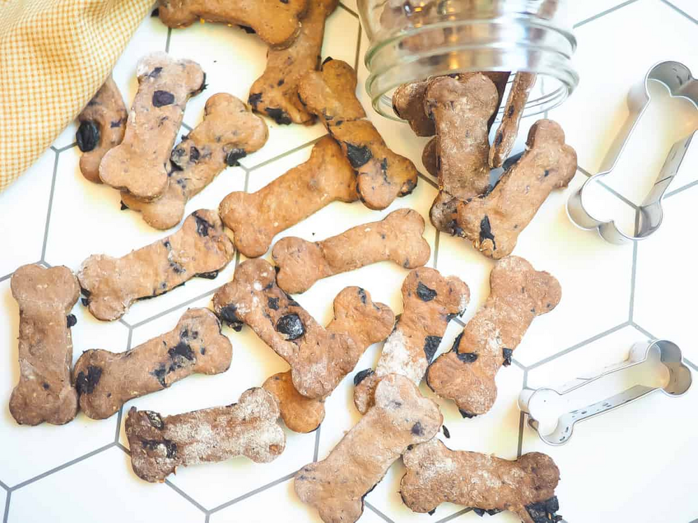 Blueberry Dog Treat Recipes