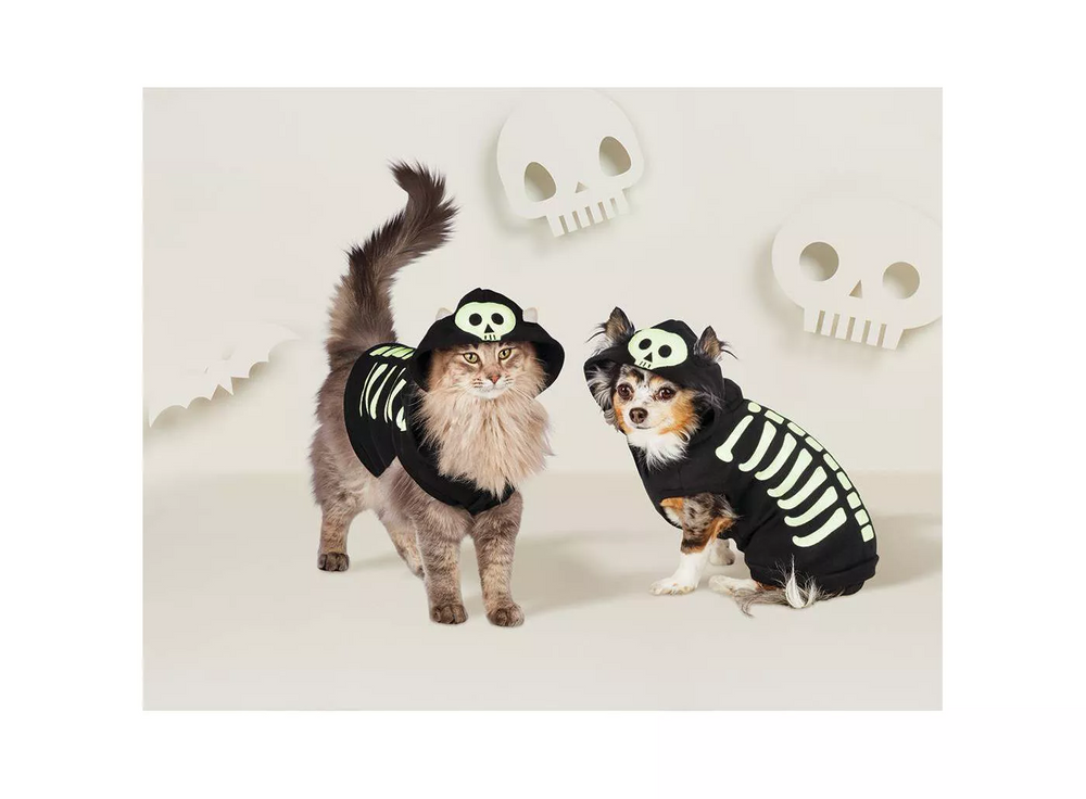 Dog Skeleton Costume
