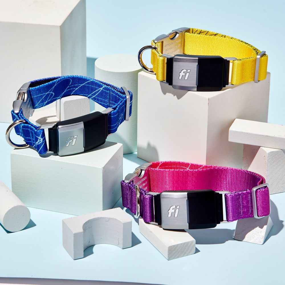 Electric Fence for Dogs