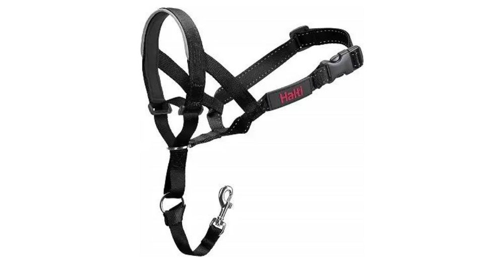 The Best Collars For Dogs That Pull A Complete Guide