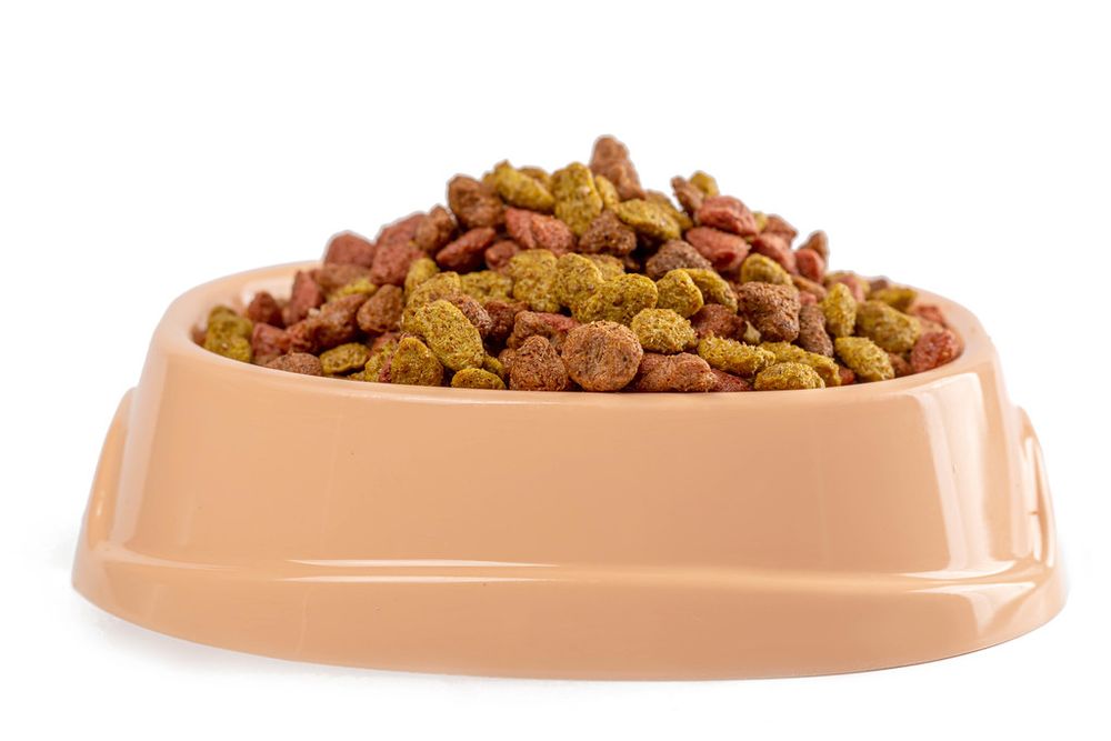 Unlocking the Benefits of Key Holistic Dog Food Ingredients