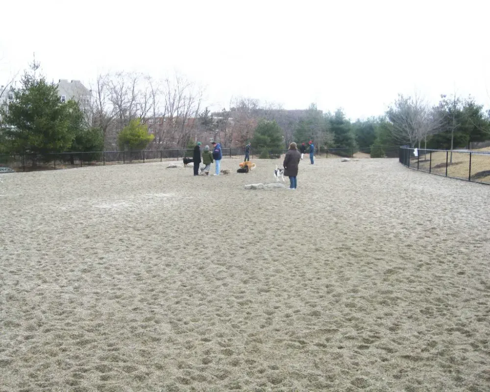 Top Dog Parks in Massachusetts Fun and Safe Spaces for Your Pup