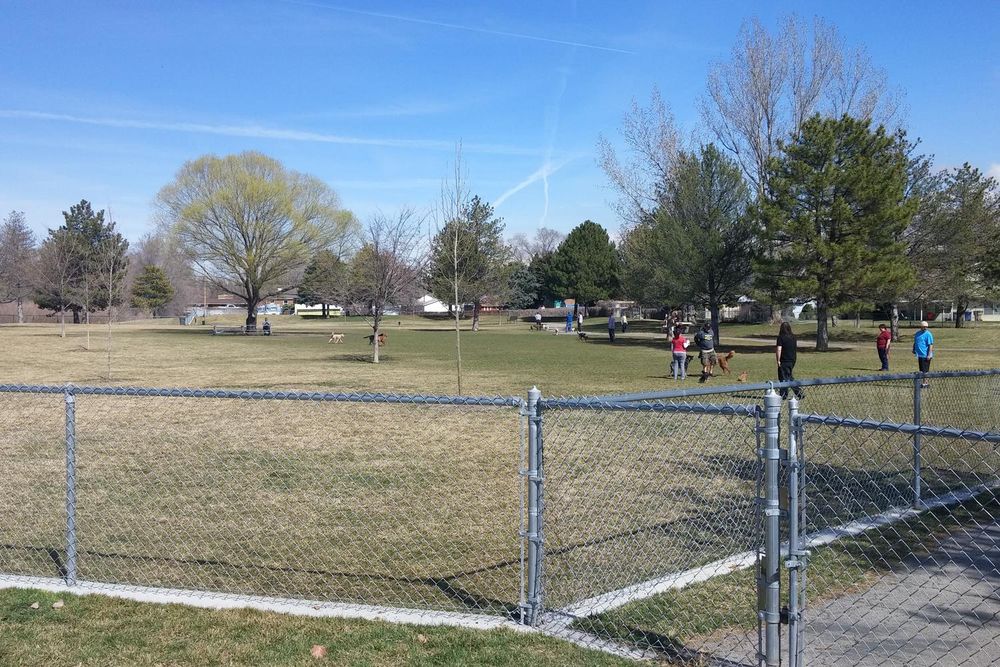 Utah's Canine Red Rocks The Best Dog Parks Among the Mountains