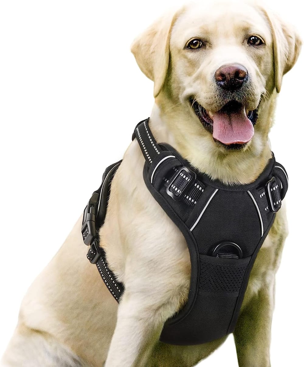 Top 5 Black Dog Harnesses 2024: In-Depth Review