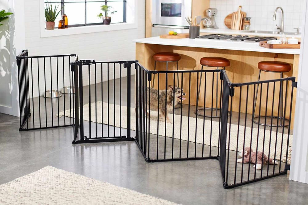 Collapsible Dog Fences: Portable Solutions for Pet Safety