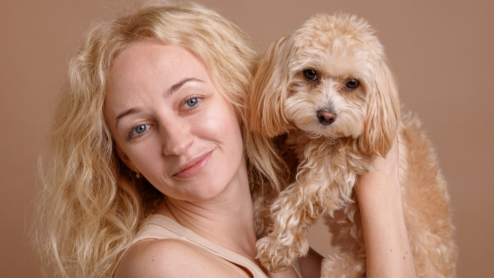 Are Cockapoos Smart? Indepth Analysis of Their Smartness