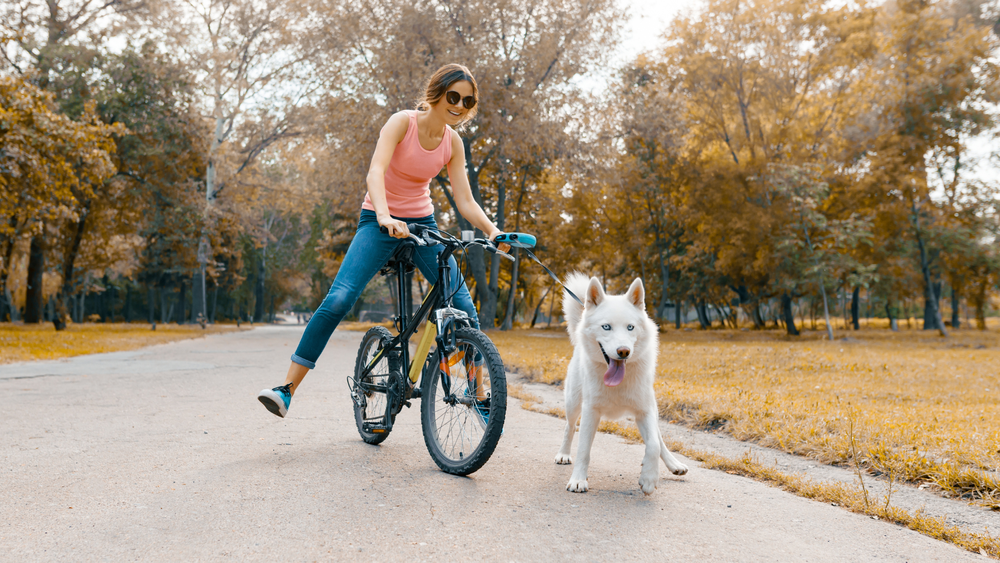 Riding Bike with Dog: Discover the Thrill of Riding Together