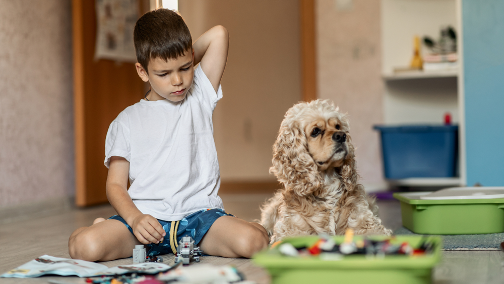 Create a Safe Interaction Space for Dogs and Young Children!