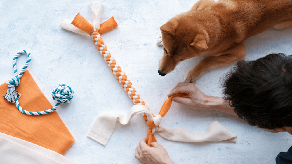 Making Diy Dog Toys With Your Kids: Dog Moms Crafts!