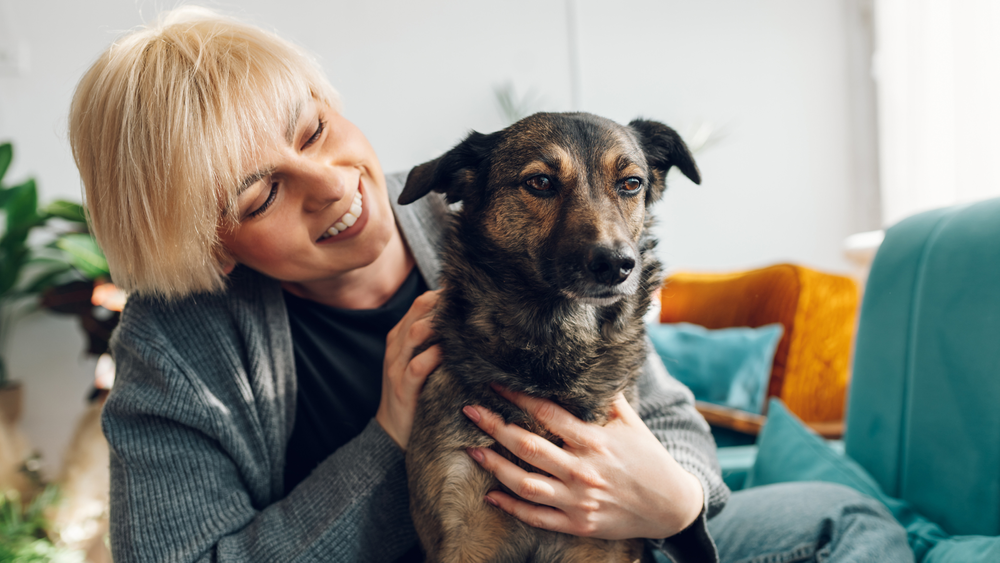 Tips for Making a Rescue Dog Feel at Home!