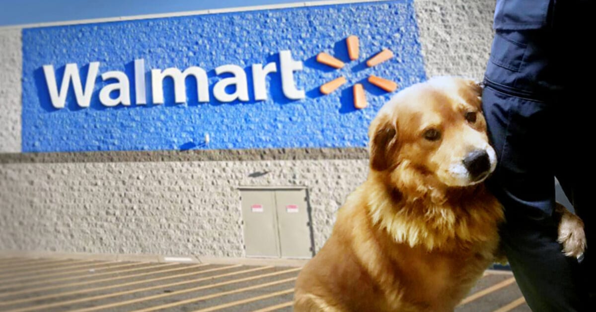 Walmart and emotional support deals animals