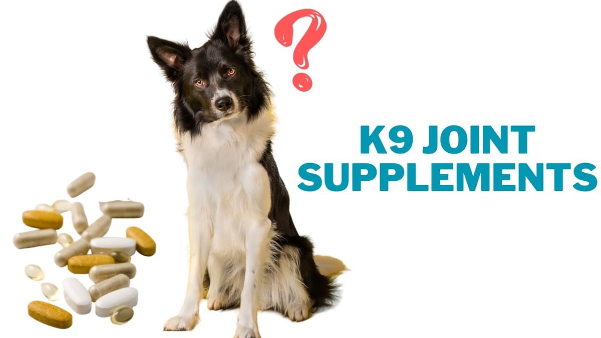 joint-supplements-for-dogs-enhancing-mobility-and-comfort