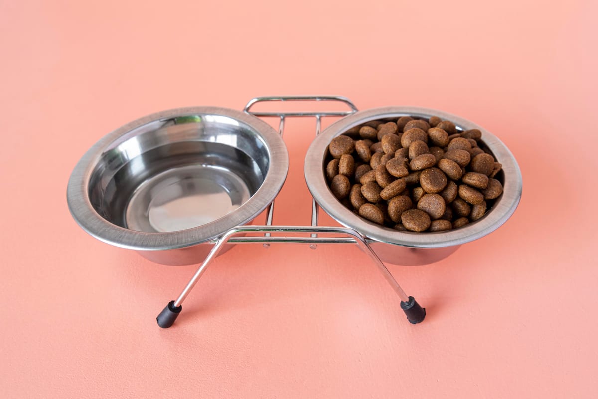 How to Properly Store Dog Food with a Dog Food Container