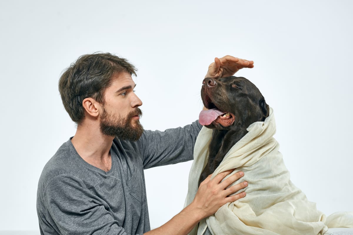 Home Remedies to Calm a Dog During a Storm