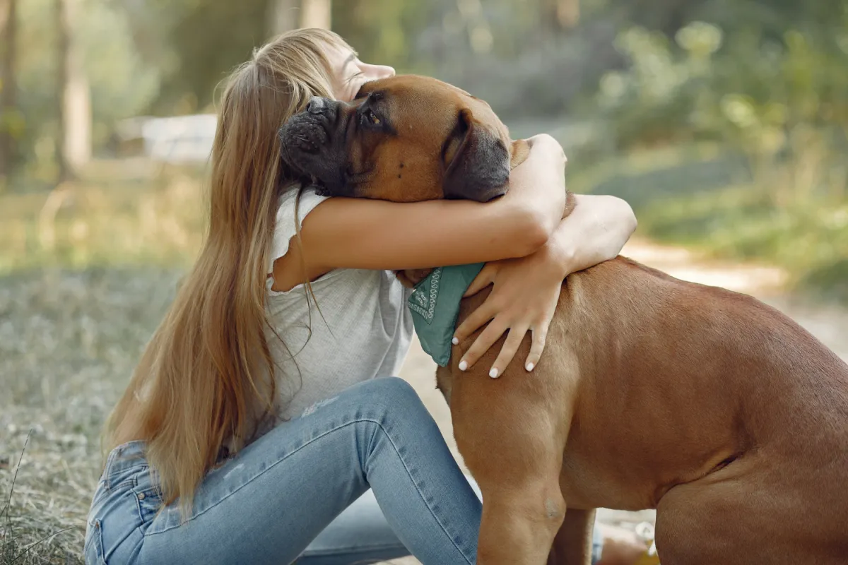 Top Emotional Support Dog Breeds Choose The Right Breed