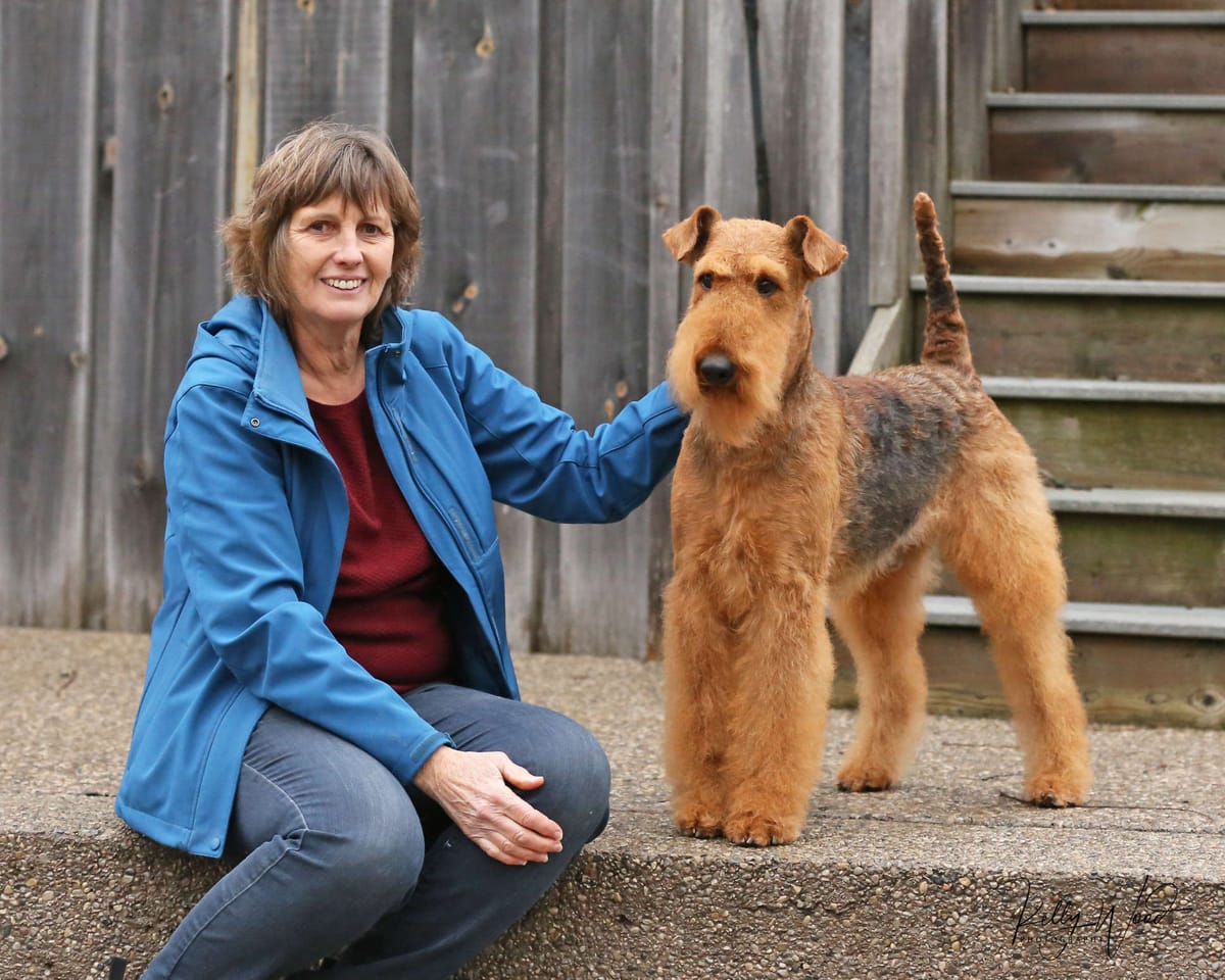 are airedale terriers good family pets