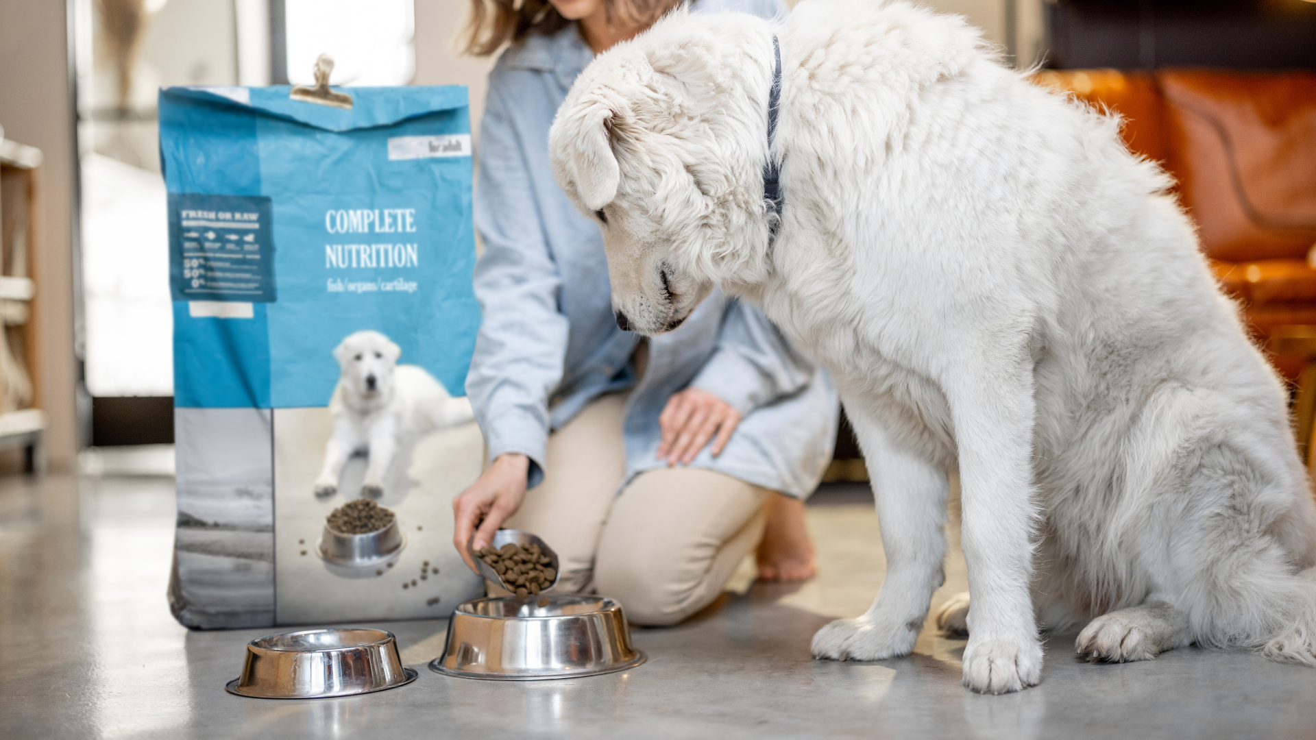 How Fast Do Dogs Digest Food: The Secrets of Dog Digestion!