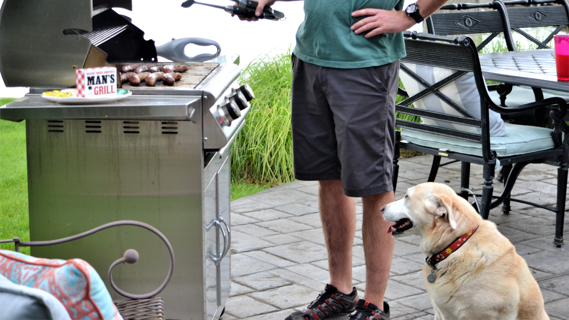 How To Host A Dog-friendly Barbecue Or Outdoor Party!