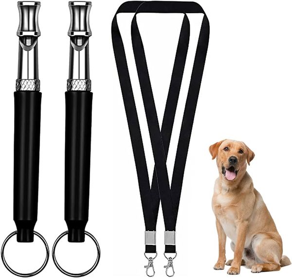 Dog Whistle Uncovering the Silent Language of Canines