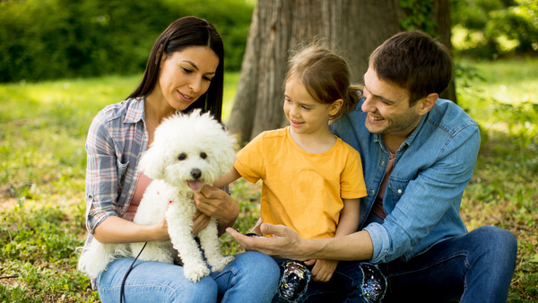 Good Small Family Dogs: Explore Our Top Breeds Guide!